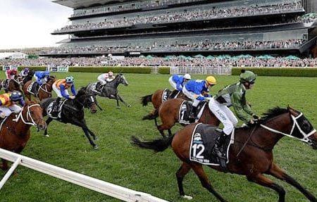 Mẹo chơi cá cược đua ngựa trực tuyến từ cao thủ